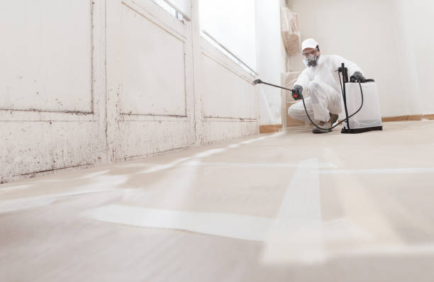24/7 Emergency Mold Remediation experts in Somerville, NJ